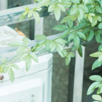 广西防城港房产网